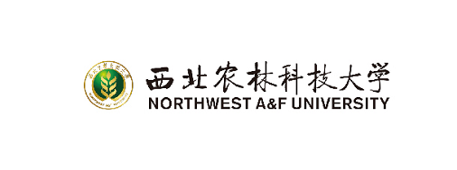 西湖娱乐
